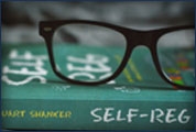„Self-Reg” 